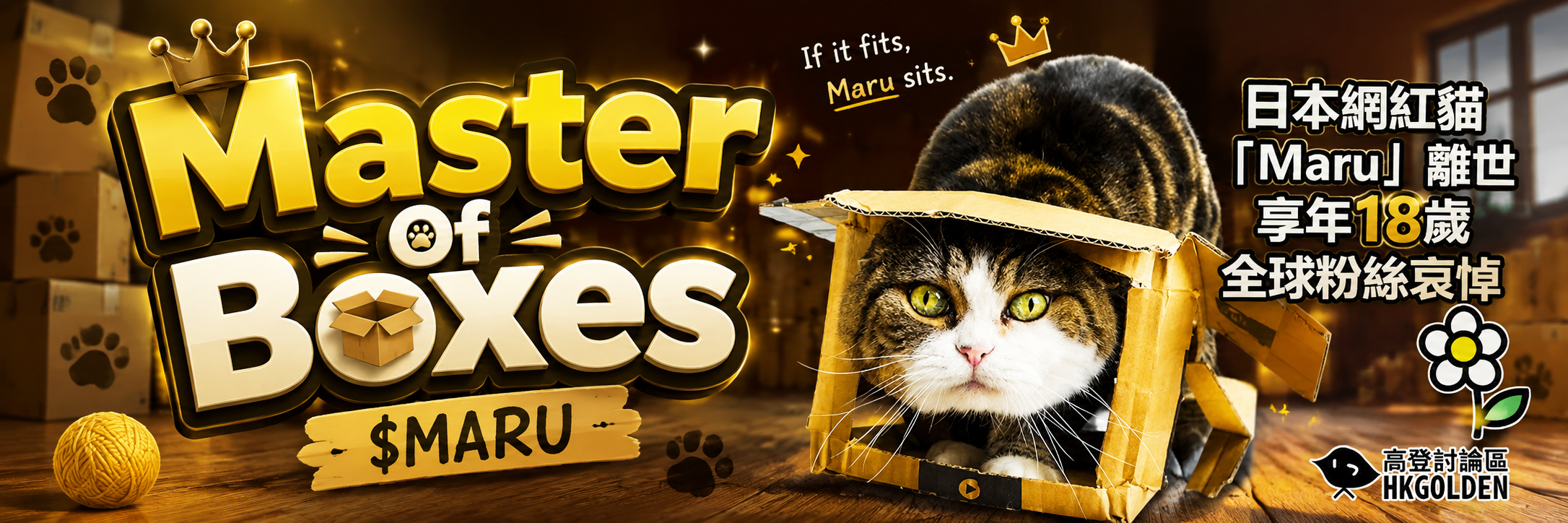 Master Of Boxes warehouse banner with Maru in a box